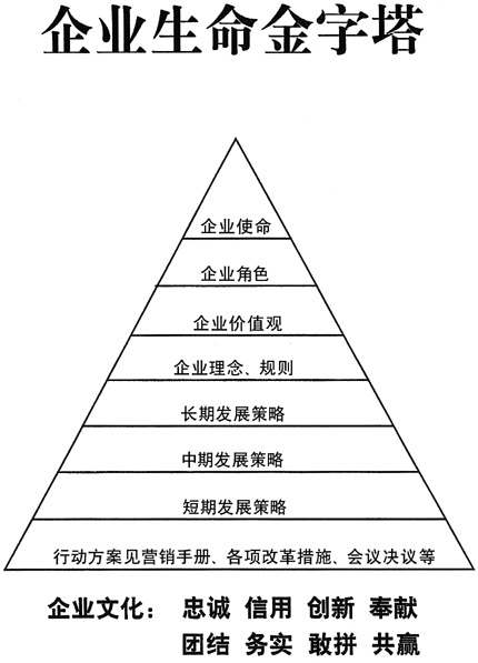 企业生命金字塔
